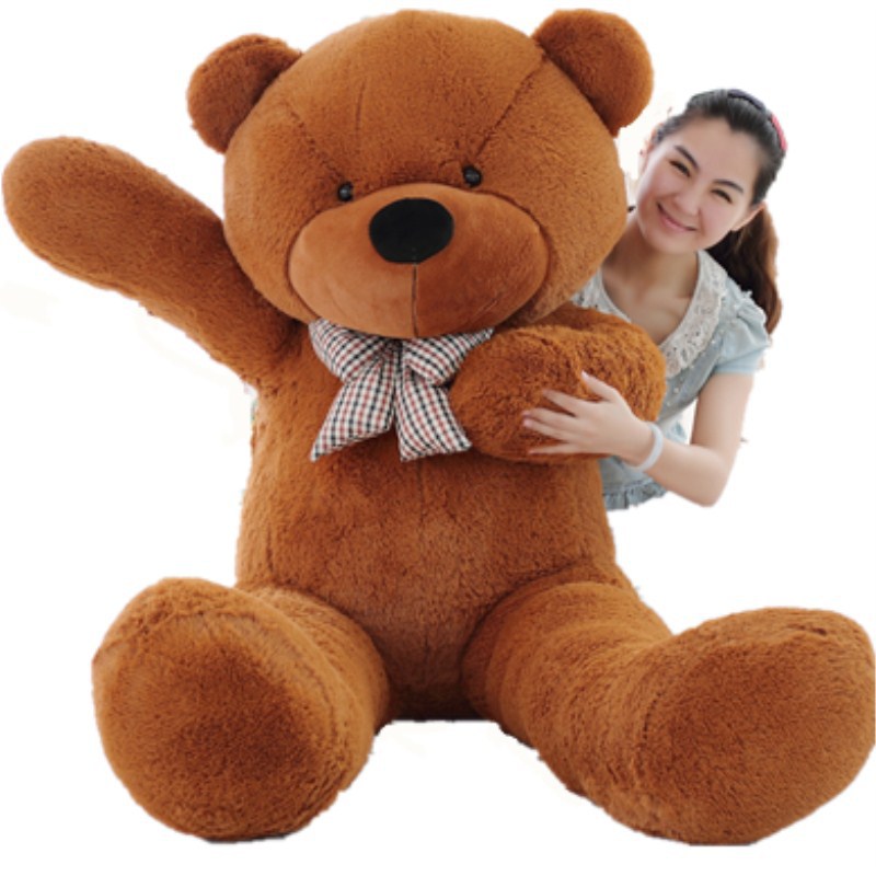 1c732a560d9a1ee81732a89c0956ecad