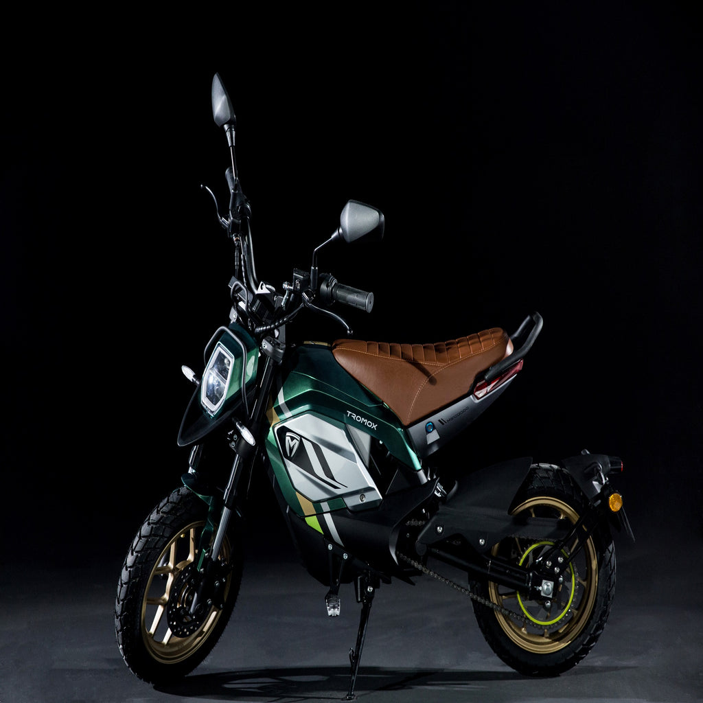 Electric Motorcycle Bike For Adults With App, Electric Dirt Bike 2500W Peak Mid-Mounted Motor 60V 31AH Removable Battery, Top Speed 34MPH 56Miles Off Road Electric Mountain Bike,DUAL-LENS HEADLIGTHS